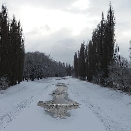Penzion Hlinkova Plzeň Kültér fotó