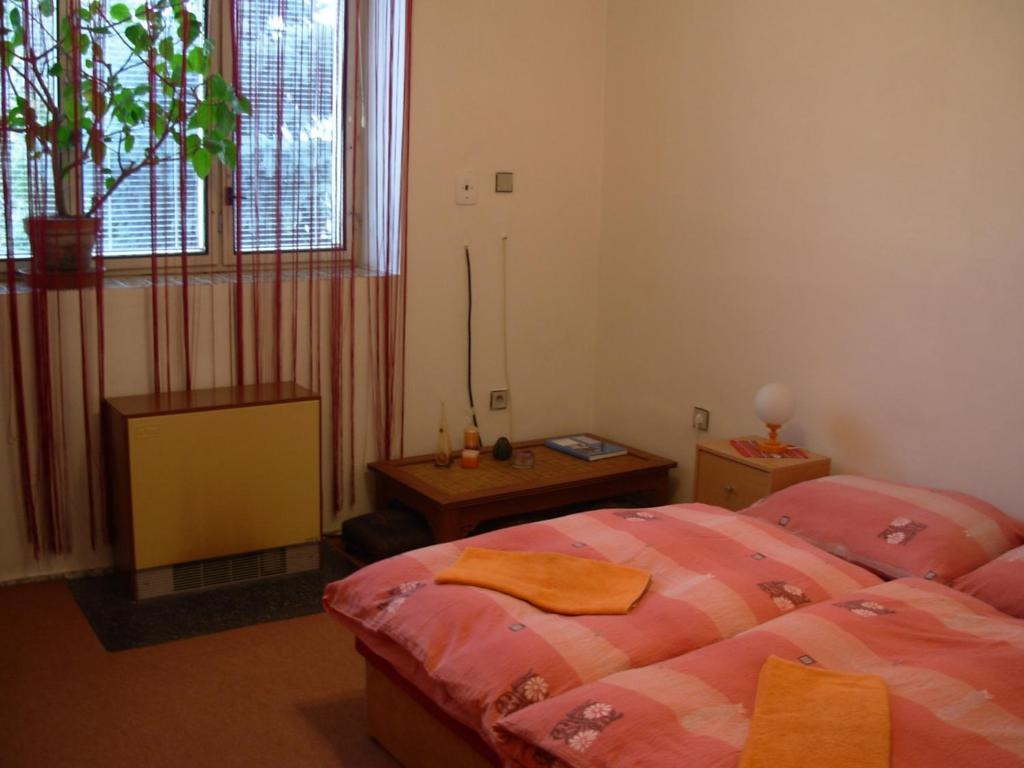 Penzion Hlinkova Plzeň Szoba fotó