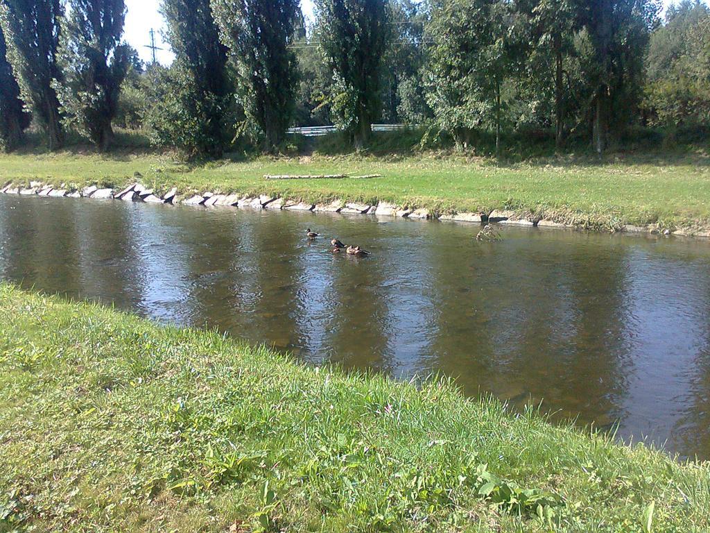 Penzion Hlinkova Plzeň Kültér fotó